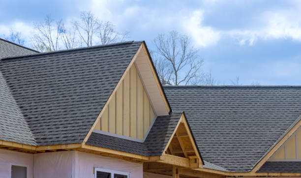 Best Chimney Flashing Repair  in New Ellenton, SC