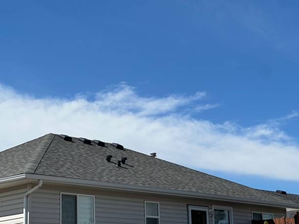 Best Roof Coating and Sealing  in New Ellenton, SC